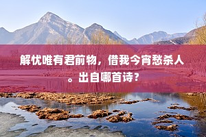 解忧唯有君前物，借我今宵愁杀人。出自哪首诗？