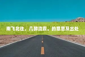 南飞北往，几醉流霞。的意思及出处