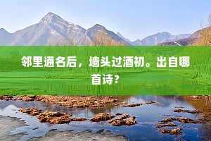 邻里通名后，墙头过酒初。出自哪首诗？