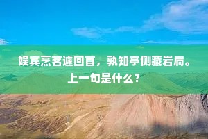 娱宾烹茗遽回首，孰知亭侧藏岩扃。上一句是什么？