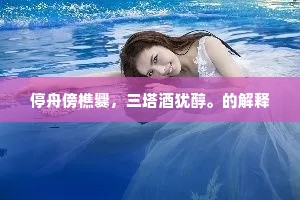 停舟傍樵爨，三塔酒犹醇。的解释