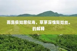 雨露极知恩似海，草茅深愧鬓如丝。的解释
