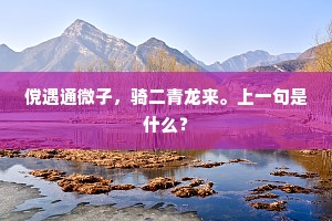 傥遇通微子，骑二青龙来。上一句是什么？