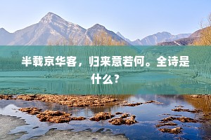 半载京华客，归来意若何。全诗是什么？