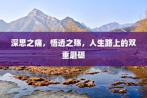 深思之痛，悟透之殇，人生路上的双重磨砺