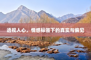 透视人心，情感标签下的真实与偏见