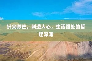 针尖微芒，刺透人心，生活细处的哲理深渊