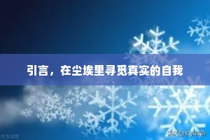 引言，在尘埃里寻觅真实的自我