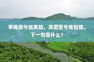 事唯恭兮犹莫知，浪忽至兮奔如镝。下一句是什么？