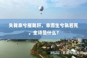 失我亲兮摧我肝，幸而生兮孰若死。全诗是什么？