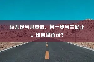 踽吾足兮寻其遗，何一步兮三恸止。出自哪首诗？