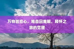 万物皆愈心，唯自囚难解，释怀之旅的觉醒