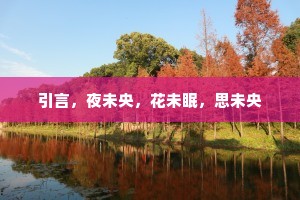 引言，夜未央，花未眠，思未央