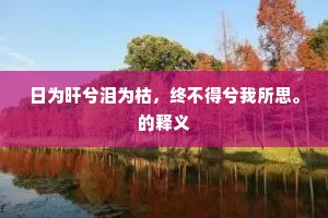 日为旰兮泪为枯，终不得兮我所思。的释义