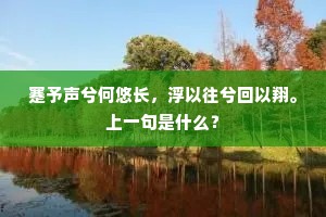 蹇予声兮何悠长，浮以往兮回以翔。上一句是什么？