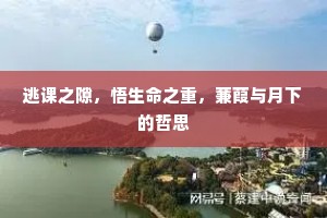 逃课之隙，悟生命之重，蒹葭与月下的哲思