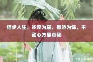 猫步人生，冷漠为裳，撒娇为饰，不动心方显真我