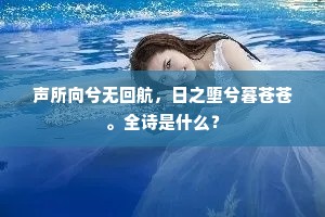 声所向兮无回航，日之堕兮暮苍苍。全诗是什么？