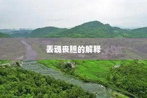 丢魂丧胆的解释