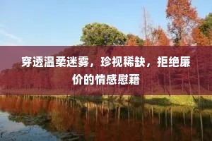 穿透温柔迷雾，珍视稀缺，拒绝廉价的情感慰藉