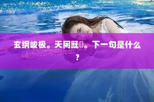 玄纲峻极。天罔既纮。下一句是什么？