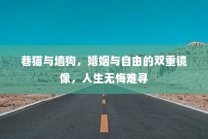 巷猫与墙狗，婚姻与自由的双重镜像，人生无悔难寻