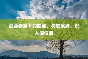 温柔表象下的暗流，勿触底线，识人深似海