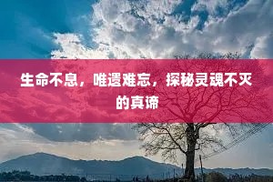 生命不息，唯遗难忘，探秘灵魂不灭的真谛