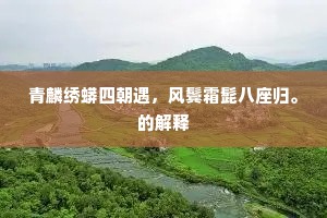 青麟绣蟒四朝遇，风鬓霜髭八座归。的解释