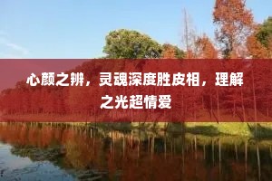 心颜之辨，灵魂深度胜皮相，理解之光超情爱