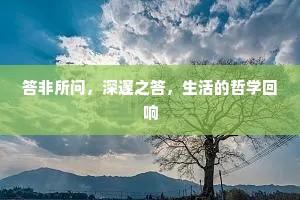 答非所问，深邃之答，生活的哲学回响