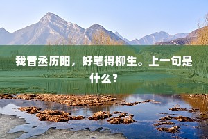 我昔丞历阳，好笔得柳生。上一句是什么？