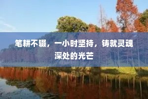 笔耕不辍，一小时坚持，铸就灵魂深处的光芒