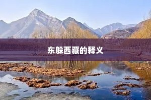 东躲西藏的释义