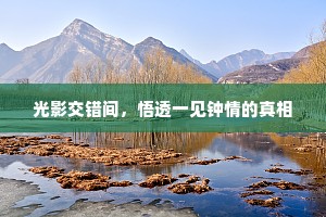 光影交错间，悟透一见钟情的真相