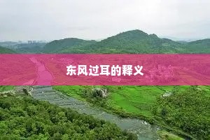 东风过耳的释义