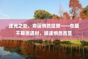 逆光之处，命运悄然绽放——在最不期而遇时，顺遂悄然而至