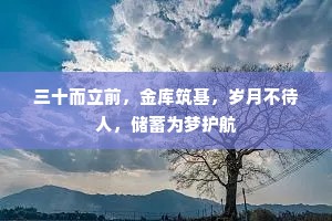 三十而立前，金库筑基，岁月不待人，储蓄为梦护航