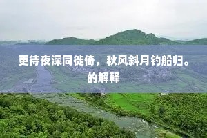 更待夜深同徙倚，秋风斜月钓船归。的解释