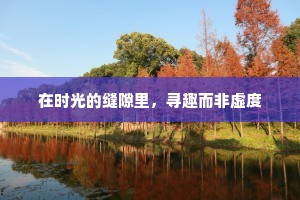 在时光的缝隙里，寻趣而非虚度