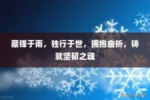 藏锋于雨，独行于世，拥抱曲折，铸就坚韧之魂