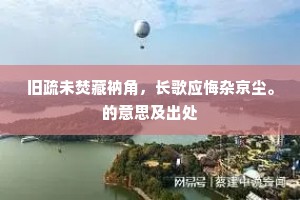 旧疏未焚藏衲角，长歌应悔杂京尘。的意思及出处