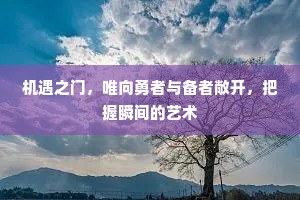 机遇之门，唯向勇者与备者敞开，把握瞬间的艺术