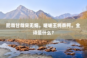 肥哉甘哉突无烟。嗟嗟王将奈何。全诗是什么？