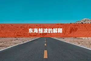 东海鲸波的解释