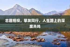 志趣相投，挚友同行，人生路上的深度共鸣