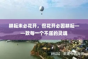 耕耘未必花开，但花开必因耕耘——致每一个不屈的灵魂