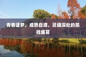 青春逐梦，成熟自渡，灵魂深处的孤独盛宴