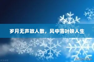 岁月无声故人散，风中落叶映人生