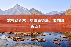龙气动乔木，空潭无猿鸟。出自哪首诗？